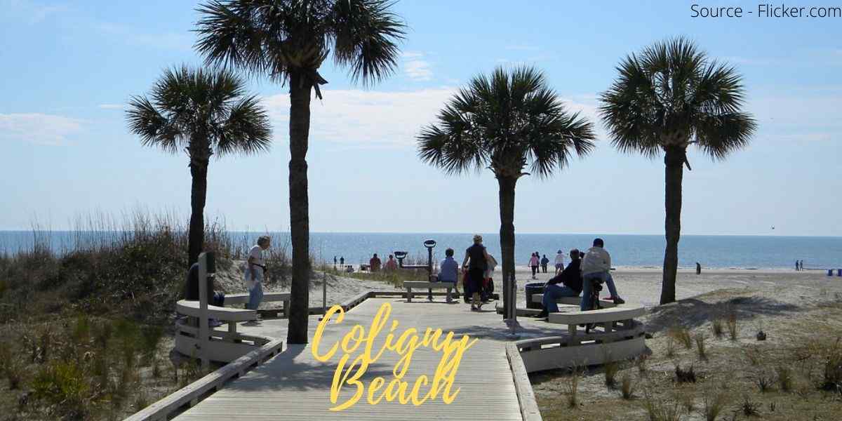 Coligny Beach beaches near south carolina
